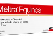 Meltra Equino